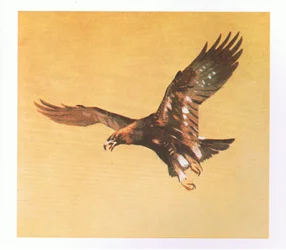 Golden Eagle tanulmányok, kocsma. írta: Book Club Associates, 1972